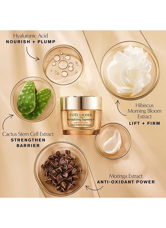 Revitalizing Supreme Routine